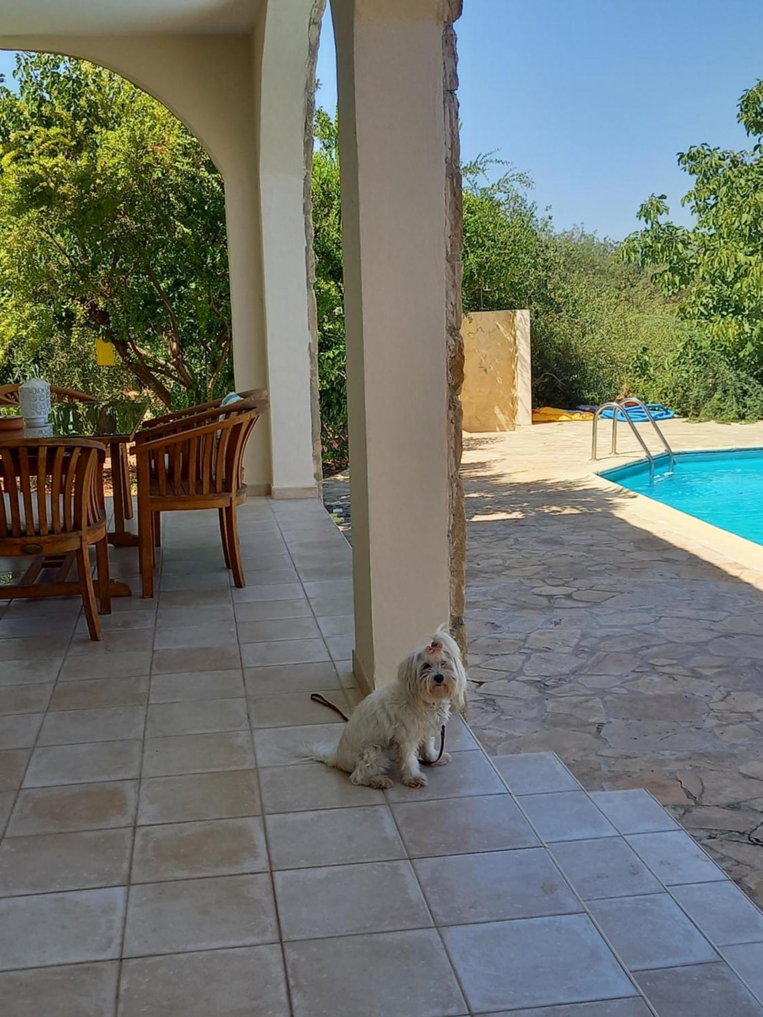 Villa Koumneni Pano Akourdalia Экстерьер фото