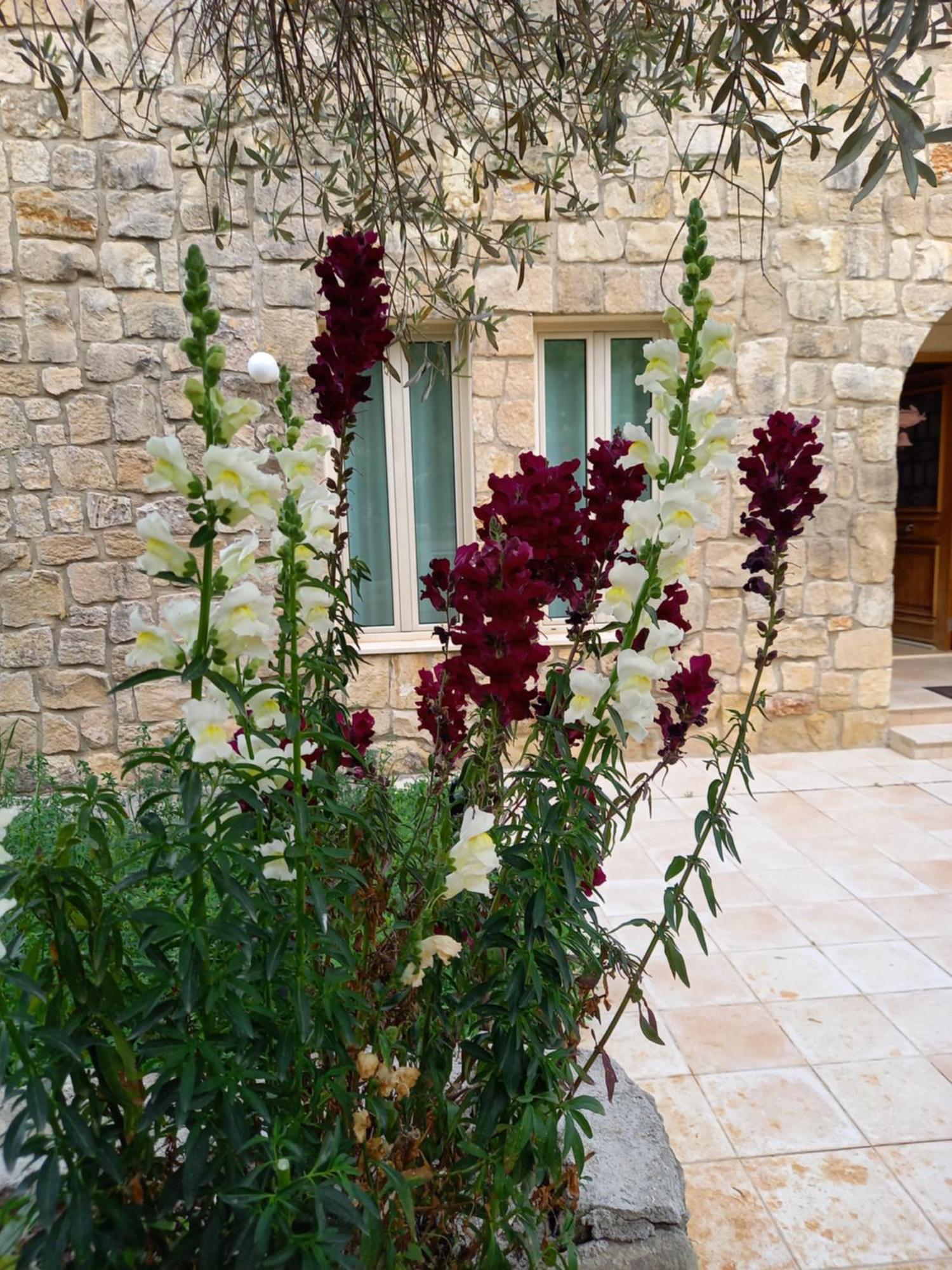Villa Koumneni Pano Akourdalia Экстерьер фото