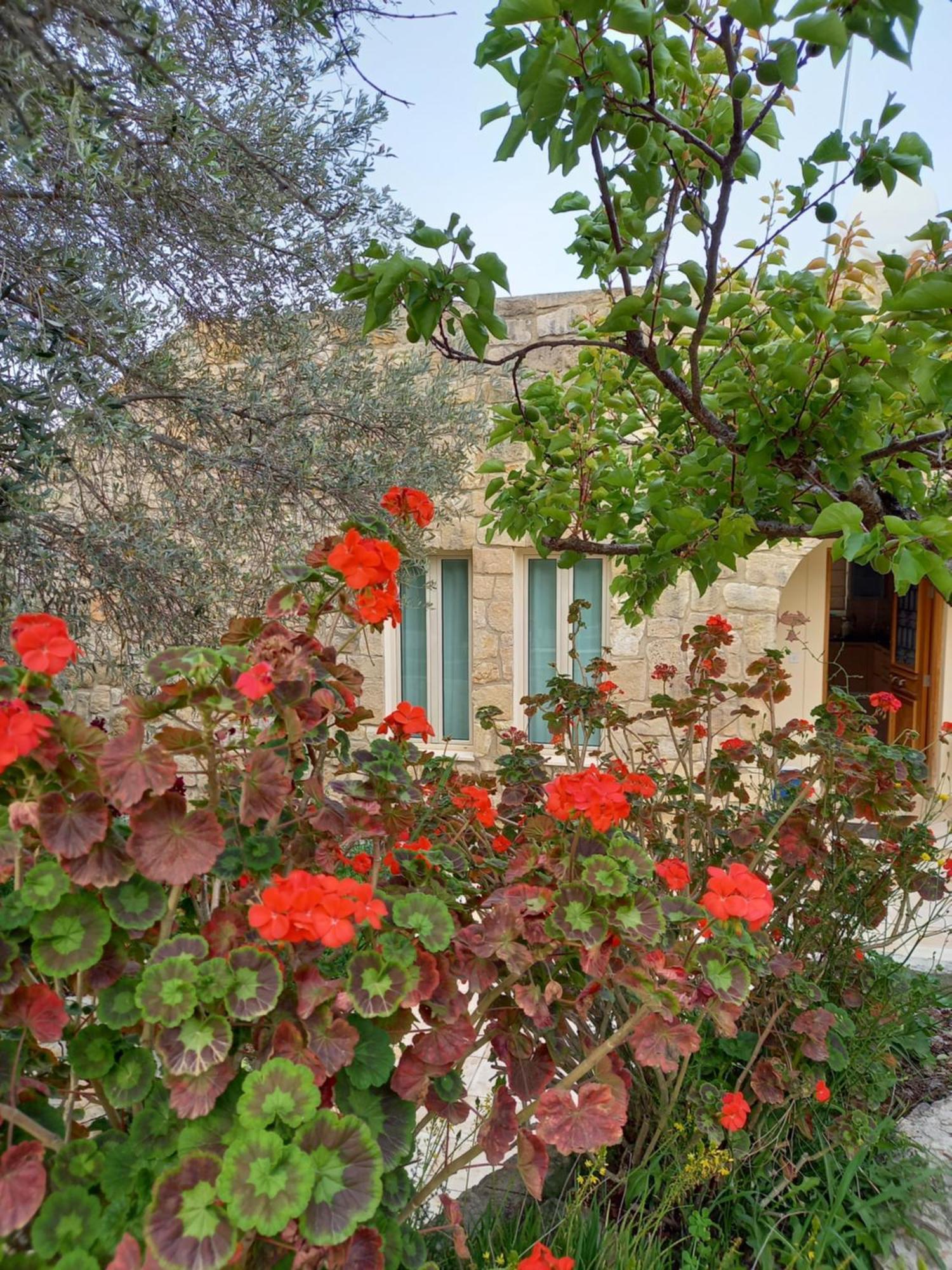 Villa Koumneni Pano Akourdalia Экстерьер фото