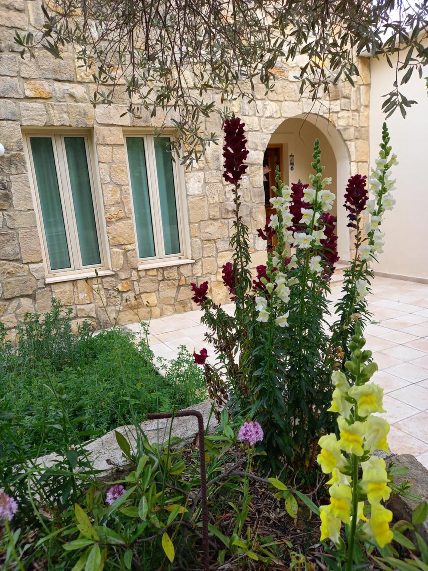 Villa Koumneni Pano Akourdalia Экстерьер фото