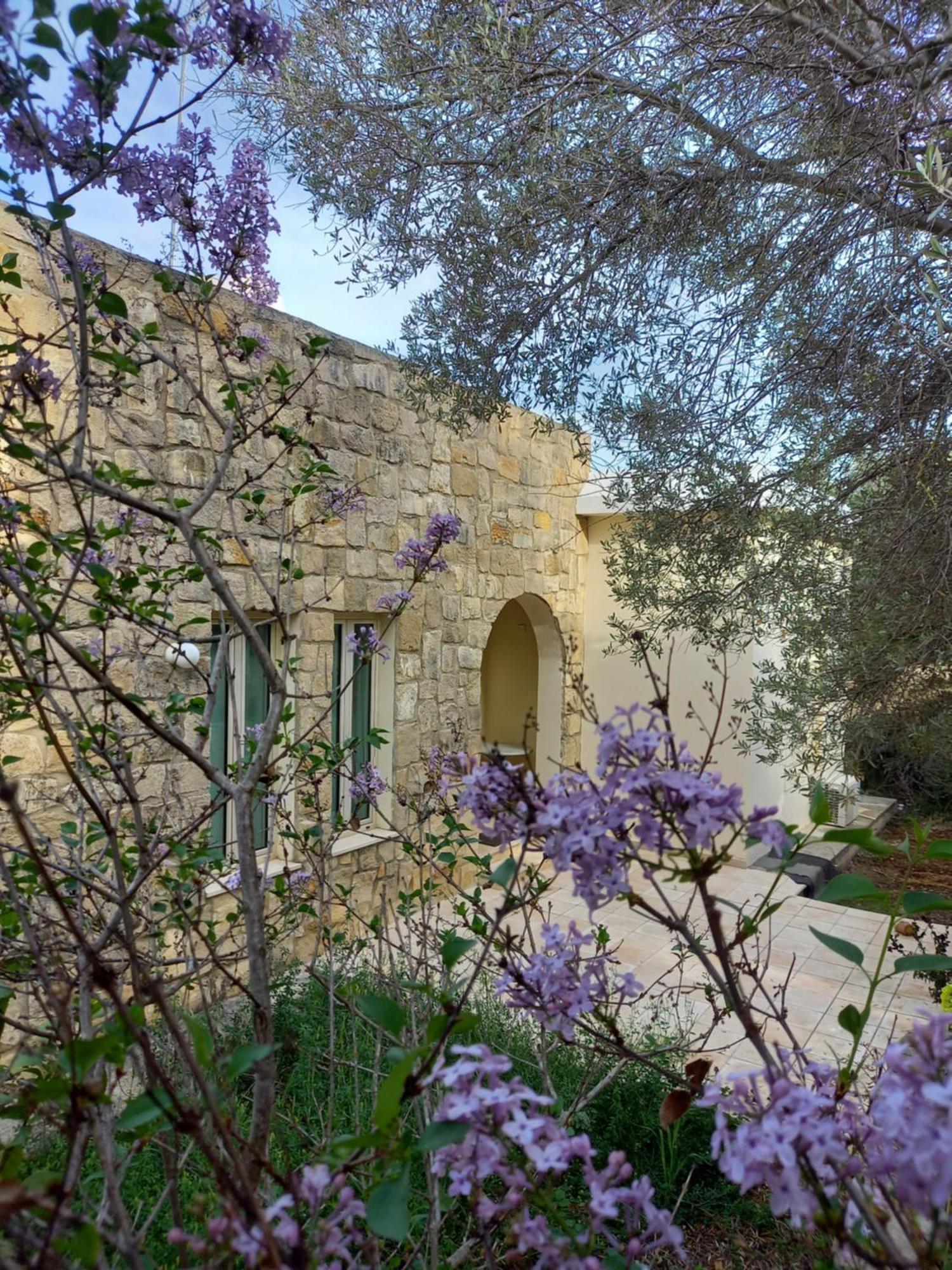 Villa Koumneni Pano Akourdalia Экстерьер фото