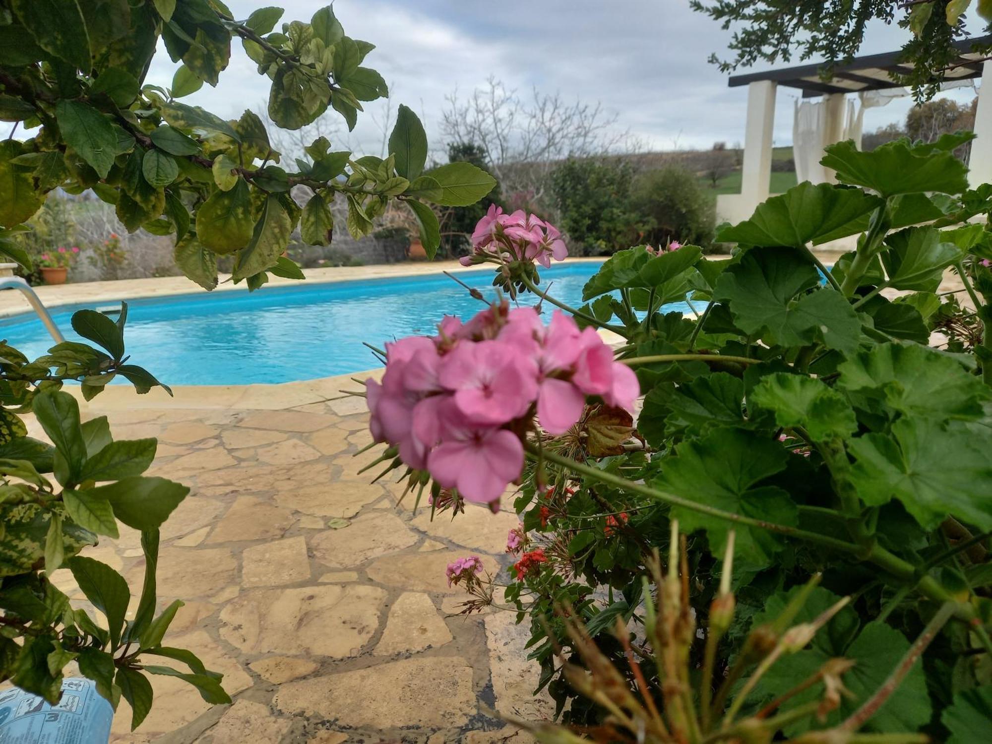 Villa Koumneni Pano Akourdalia Экстерьер фото