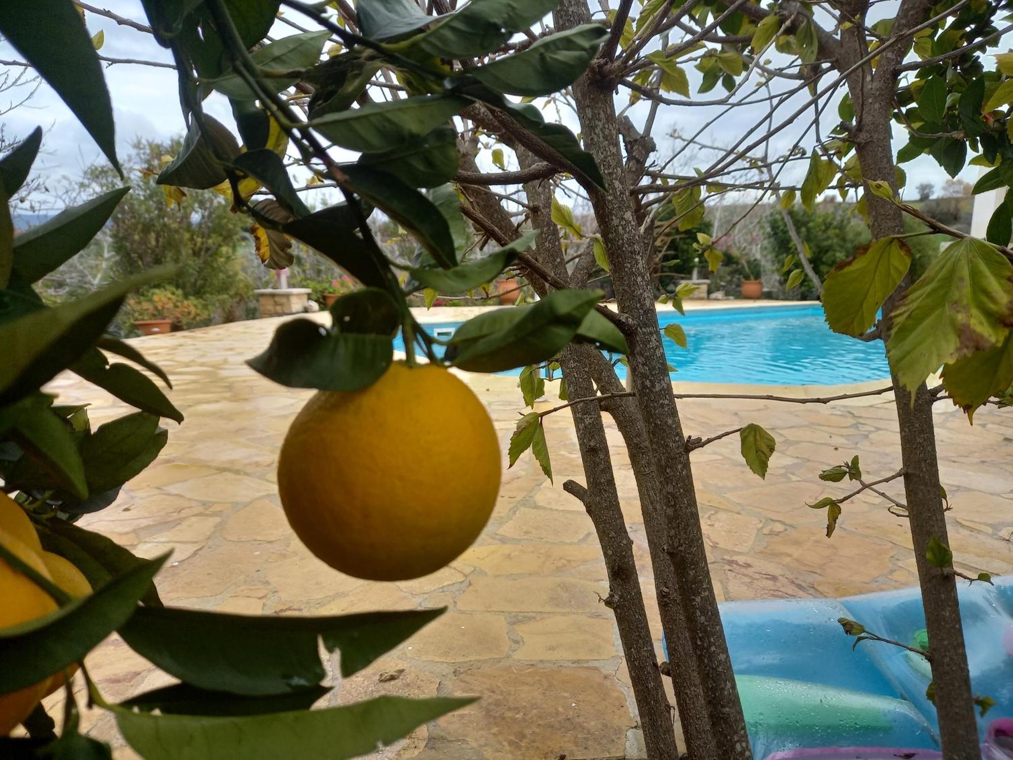 Villa Koumneni Pano Akourdalia Экстерьер фото